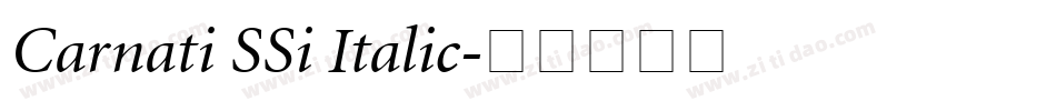 Carnati SSi Italic字体转换